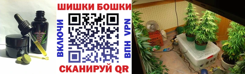 Купить закладки  Калач  Cannafood марихуана 