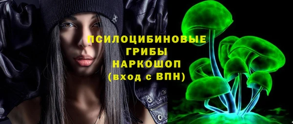соль ск Каменногорск