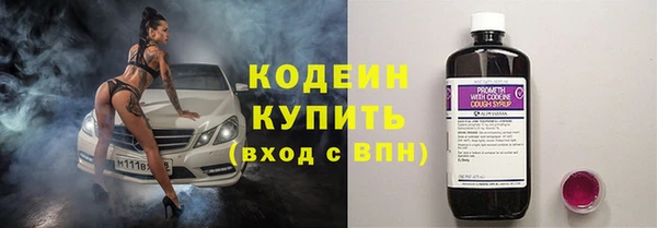 ALPHA PVP Каменка