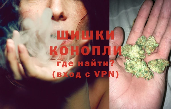 соль ск Каменногорск