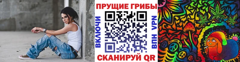 Купить где Калач Галлюциногенные грибы Cubensis