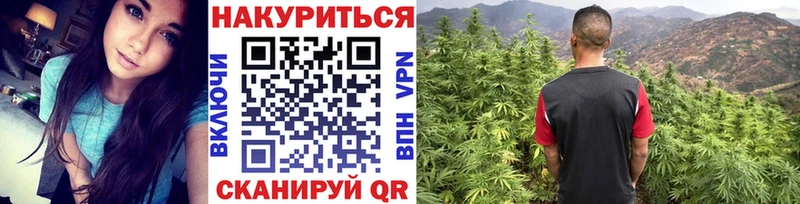 Купить закладки  Калач  МАРИХУАНА LSD WEED 